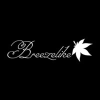 Skyworkshop (Breezelike Handmade Comb) Coupon Codes